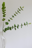 Bloom Objects Kunstig Eukalyptus Blomsterstilk Green