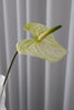 Bloom Objects Kunstig Naturtro Anthurium Blomsterstilk Green